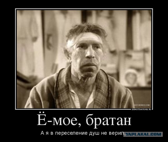 Драка