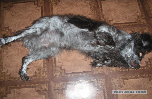 Невозможное возможно