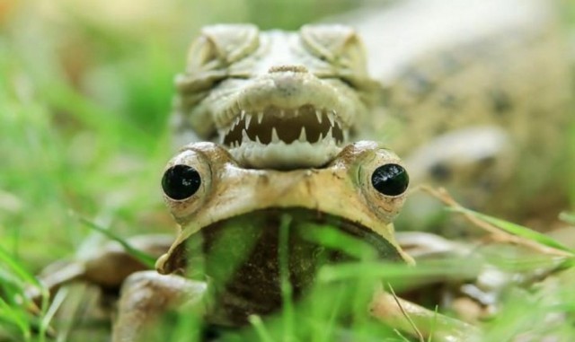 Подборка интересных и веселых фото