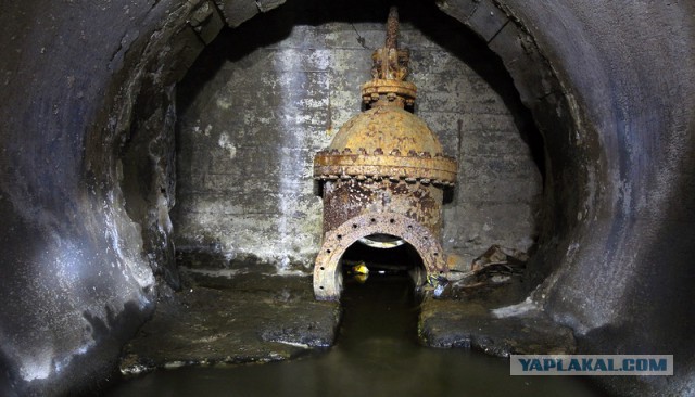 Коллекторы от имени должницы расклеили объявления о секс-услугах