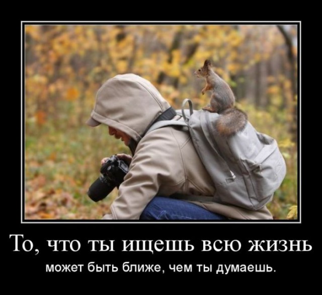 Демы без Темы