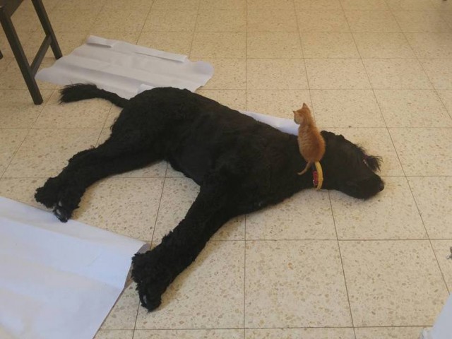 Интересные и веселые картинки