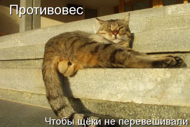 Парни топят Mentos и дрон за 1400 долларов в бассейне из Кока-колы