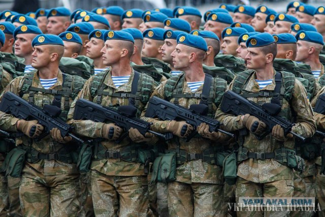 В Украине планируют производить американские винтовки M16