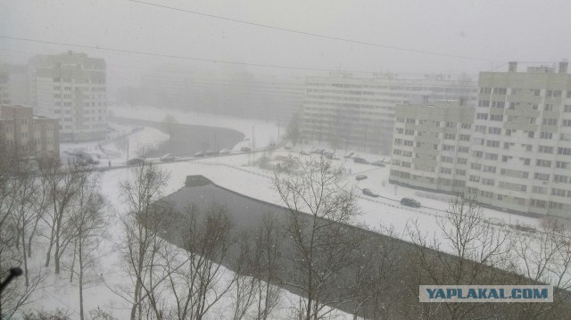 Санкт-Петербург. Апрель
