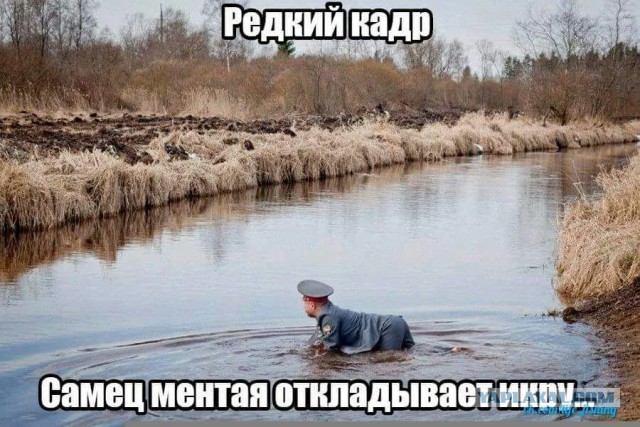 Очередные выпускники (будущая элита)