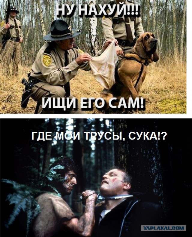 Подборка оригинальных и весёлых  выдумок