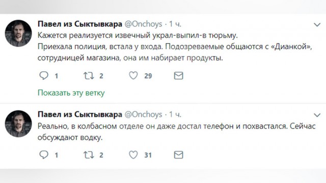 Гражданское общество в действии. Блогер помог полиции поймать воров