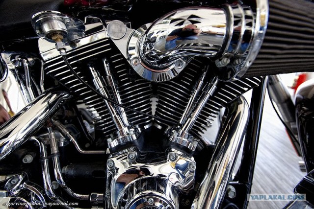 Harley-Davidson крупным планом