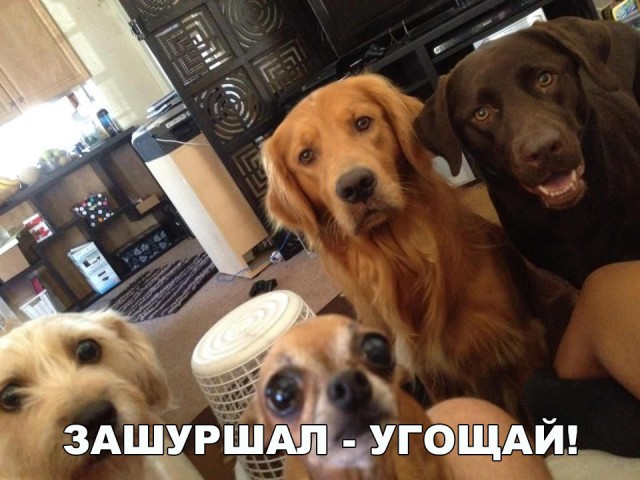 Нестандартный юмор