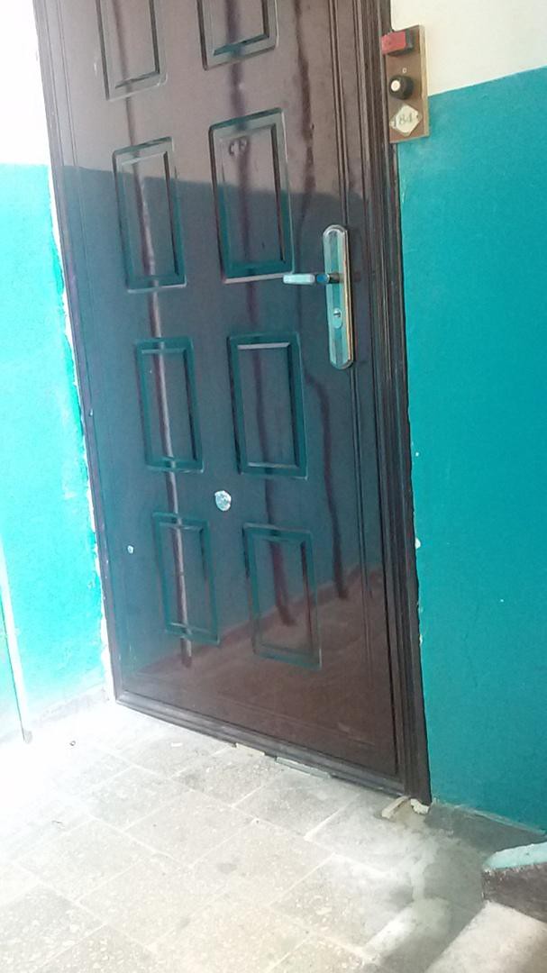 Правильная установка двери: чтобы собака видела, лаять ей или свои пришли