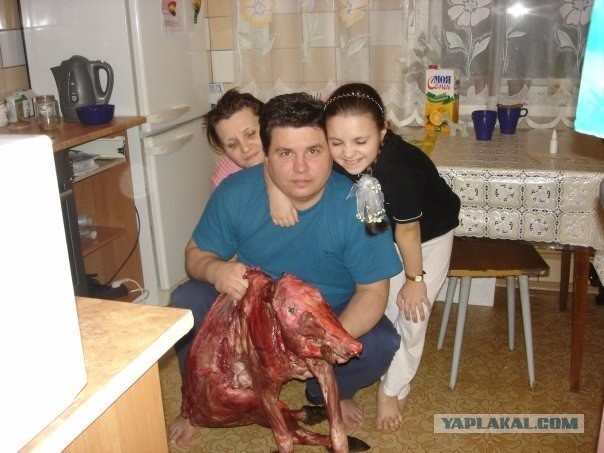 Пропала собака, живущая в нашем дворе, 21+