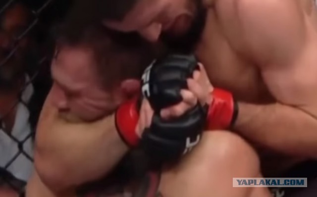 Замес на UFC 229