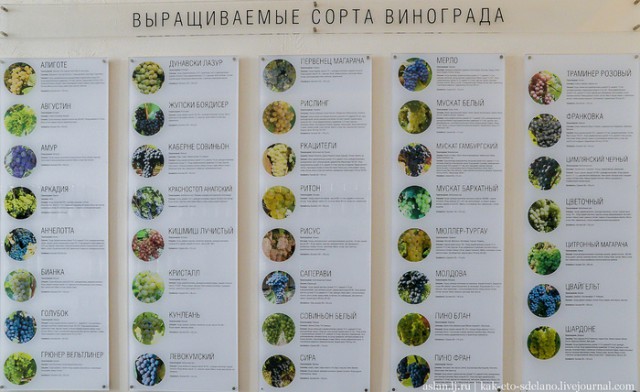 Как делают вино