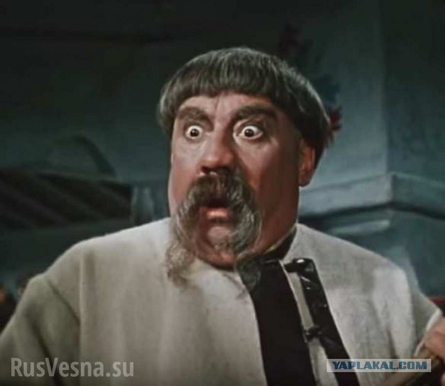 Депутат из Щёлково, чья жена перекрыала МКАД: "Я крокодил, крокожу и буду крокодить"