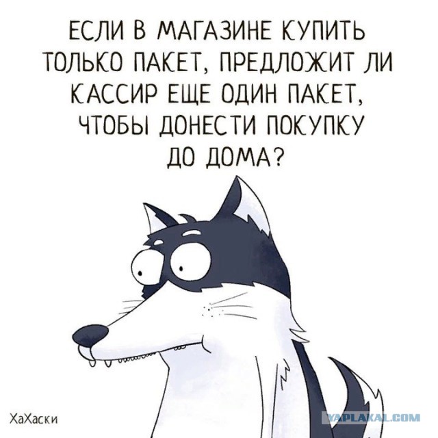 Я тоже хочу попробЫвать с картинками
