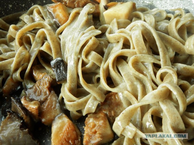 Конопля с грибами