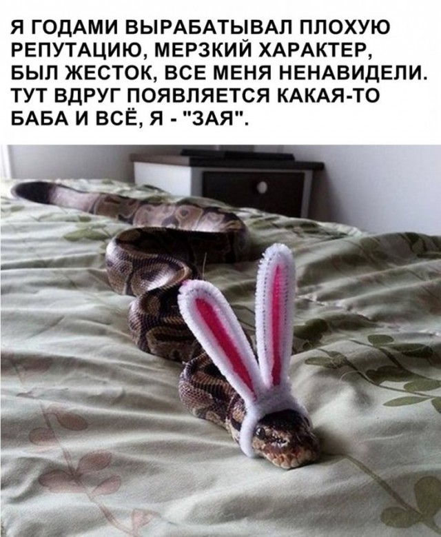 Немного картинок для настроения