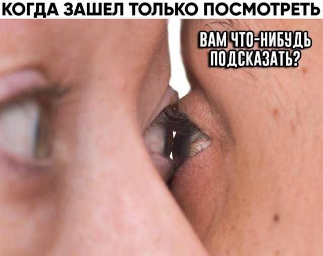 Анекдоты, соц-сети, истории и картинки с надписями