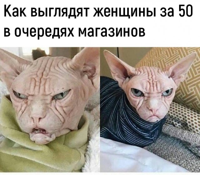 Картинки с надписями,истории и анекдоты