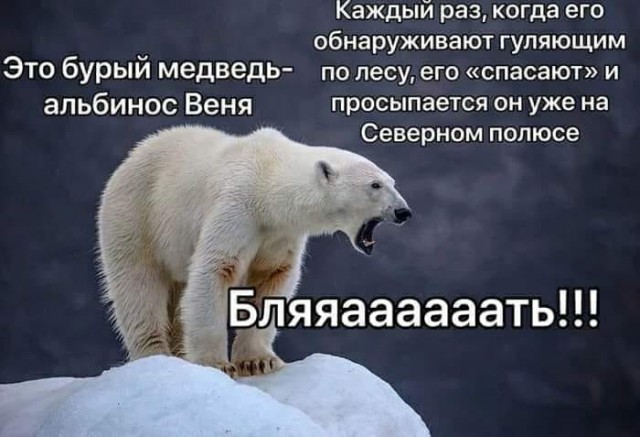 Чуток картинок 24.06.19