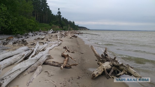 Если нет разницы, зачем платить больше?