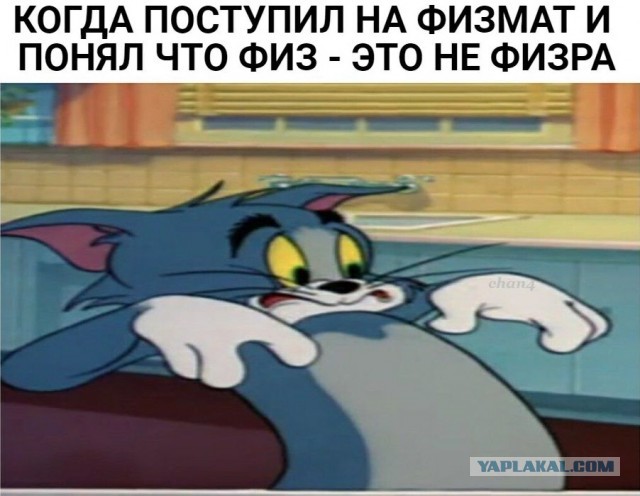 Картинки с надписями, истории и анекдоты 02.11.19