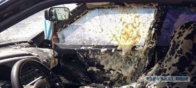 20+ фотографий, которые не найдешь даже в самой полной энциклопедии