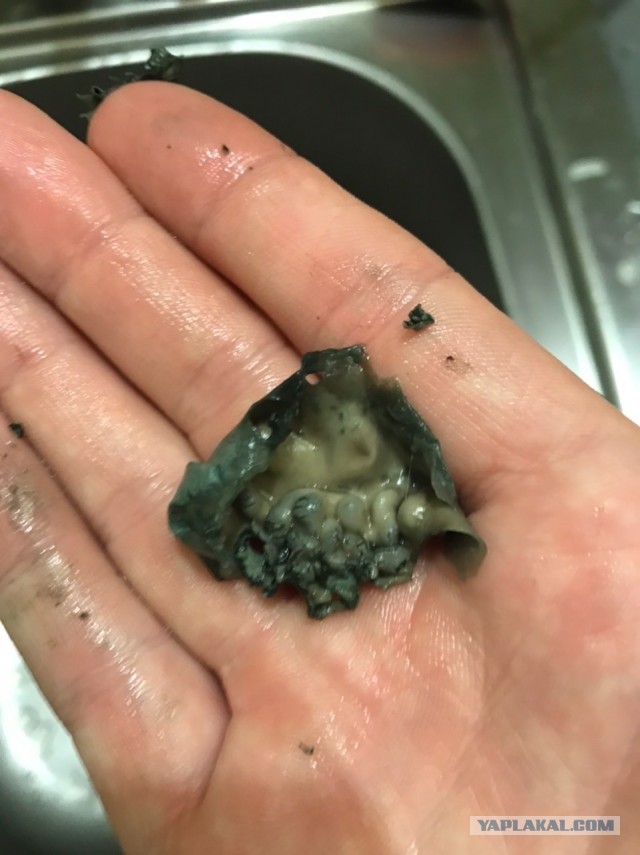 Попили пивка