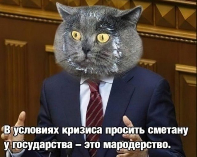 Депутаты Москвы и Петербурга попросили власти выплатить всему населению по 25 тыс. руб.