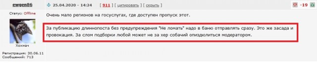 Цифровые пропуска стали госуслугой — безальтернативной