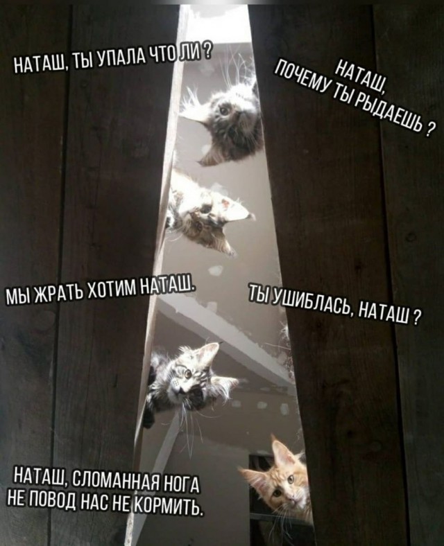 Так себе картинки 8