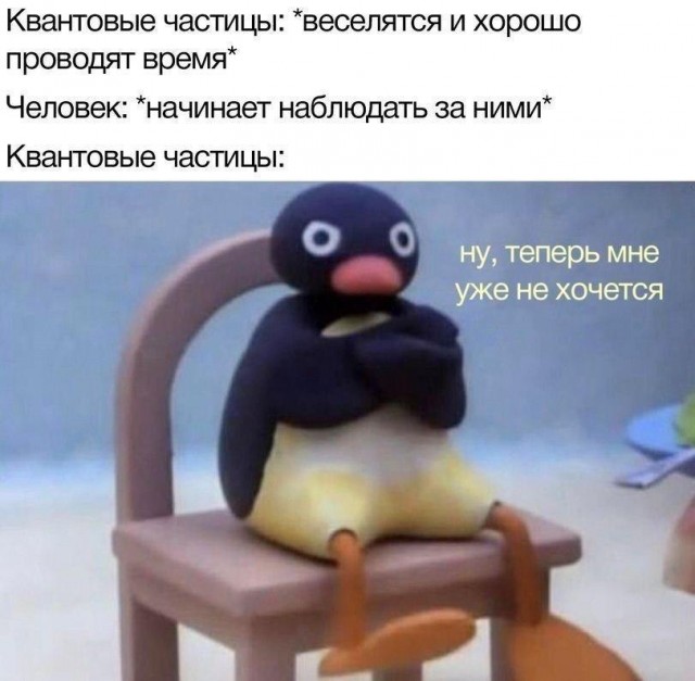 Где сегодня картинки?