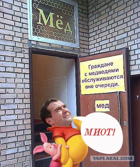 Фотожаба: Хочешь меда - бери с собой медведя