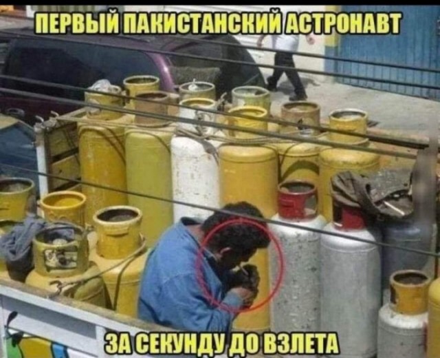 Фотки и картинки: юморные и красивые, забавные и милые 09.10.20