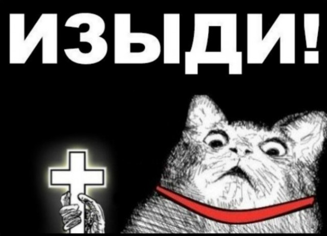 Есть кто понимает кошачий-матерный?