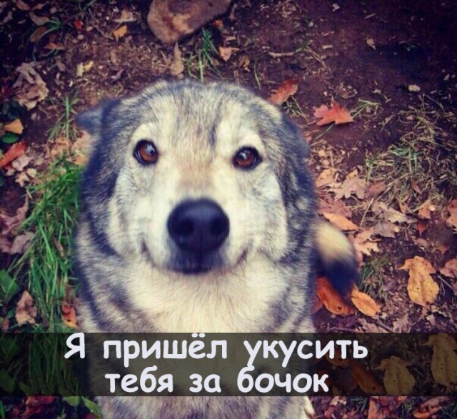 Старые картинки, продолжение