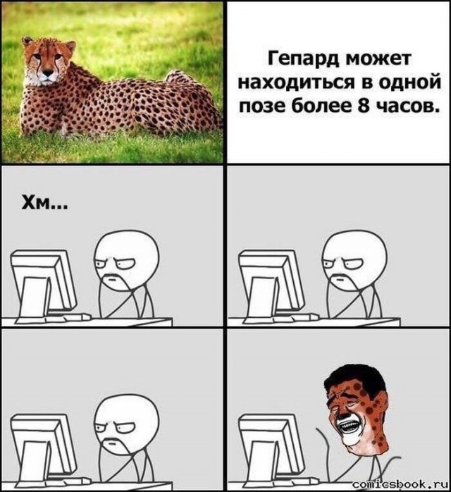 Хищницы