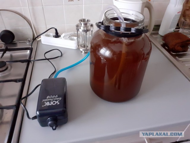 Алкоголь своими руками