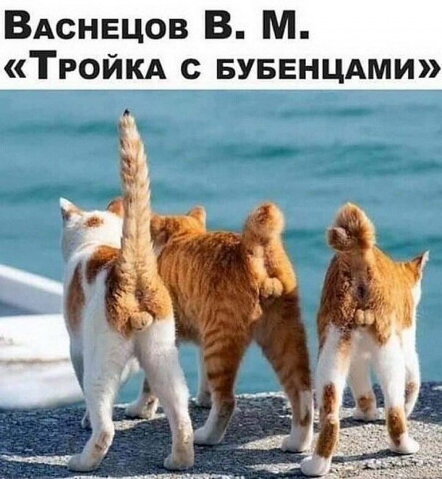Годные картинки и не очень...