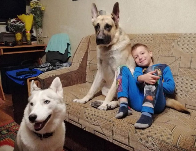 22 фото, доказывающих, что для счастья ребёнку нужна собака, а если вы думаете иначе, то вы точно кошка