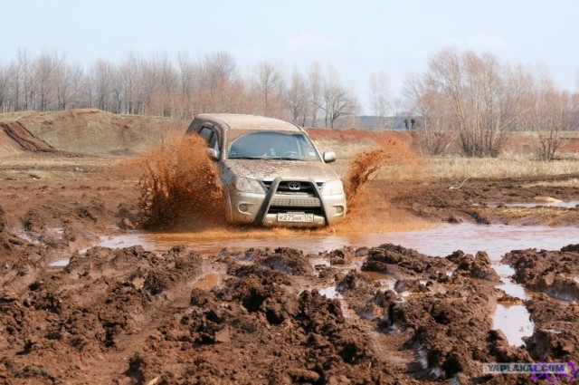 На Шершни в глиноговны