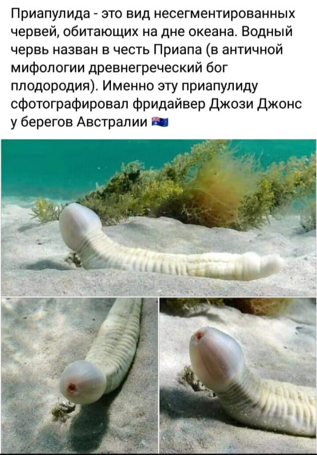 Кретинизмы околовосьмимартовские