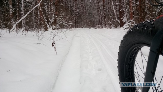 Велосипед для души и тела! Велопрогулка - 20 кг спустя...