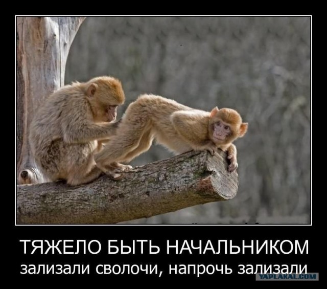 Как Путин чуть попу не зарядил
