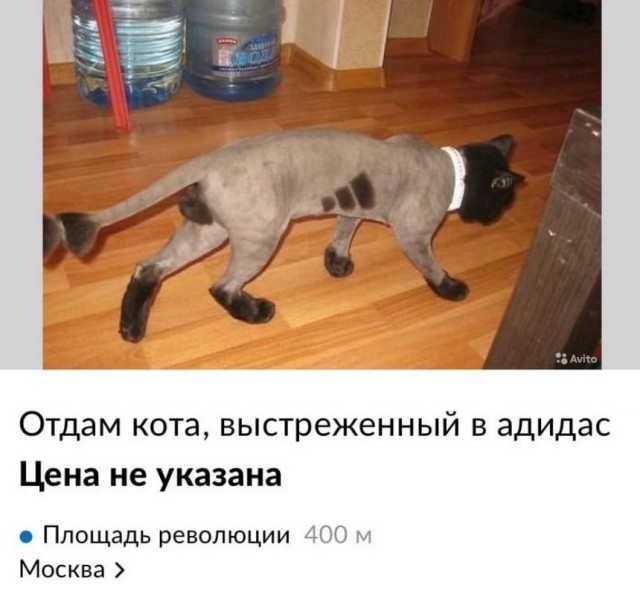 Картинки и мемы для настроения 15.06.2021