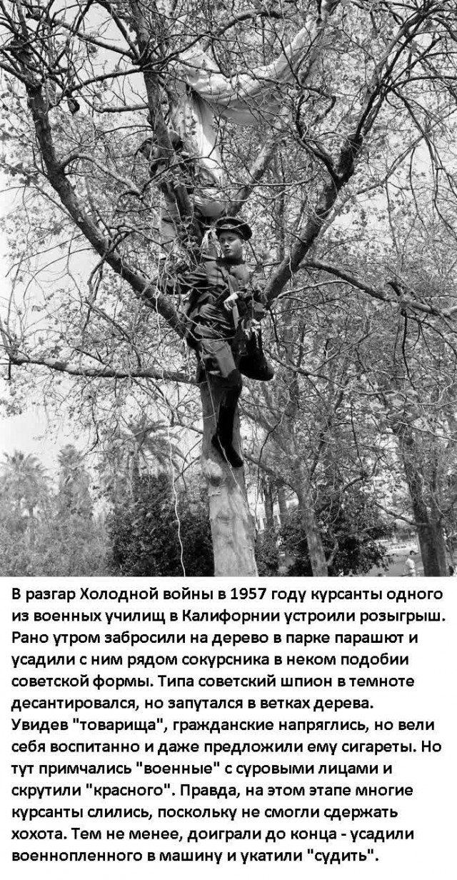 Так себе картинки 09.08.2021