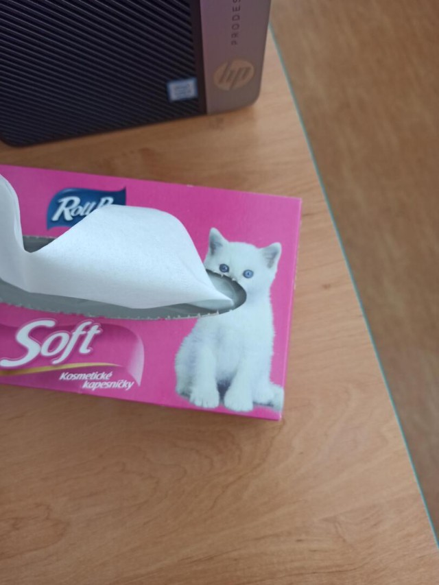 Весёлый полтишок 26.09