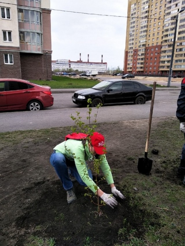 Свежая зелень