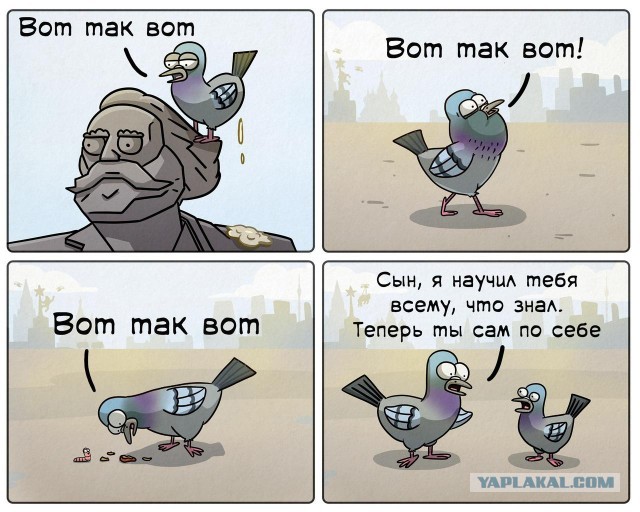 Александр Невский сообщает